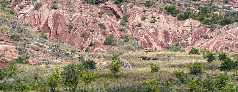 48560833507_2c4c3bbb22_c