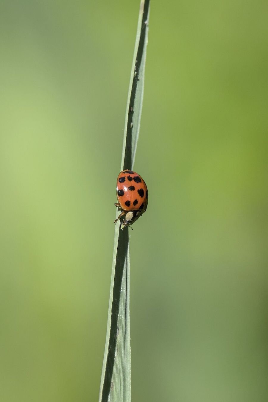 1706296405284 1706296405284