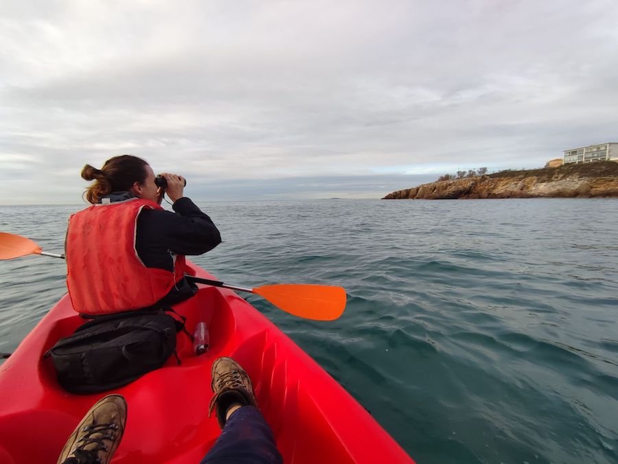 1708004739702 1708004739702