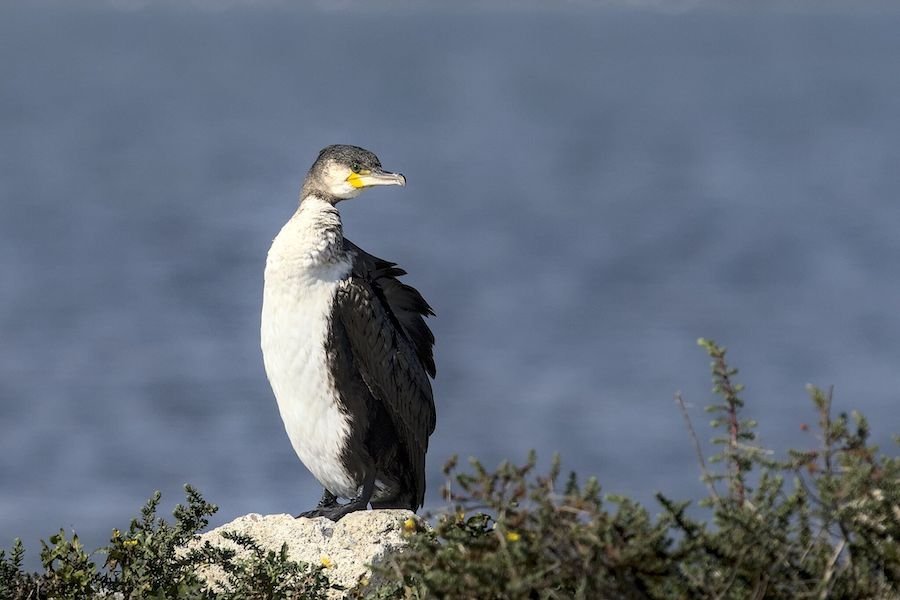 1708004738521 1708004738521