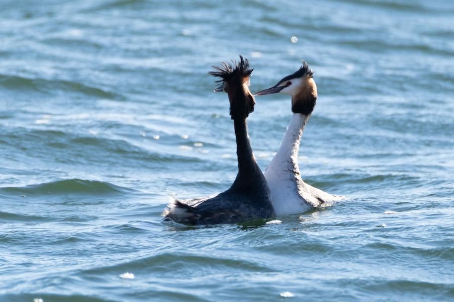 1708004737652 1708004737652