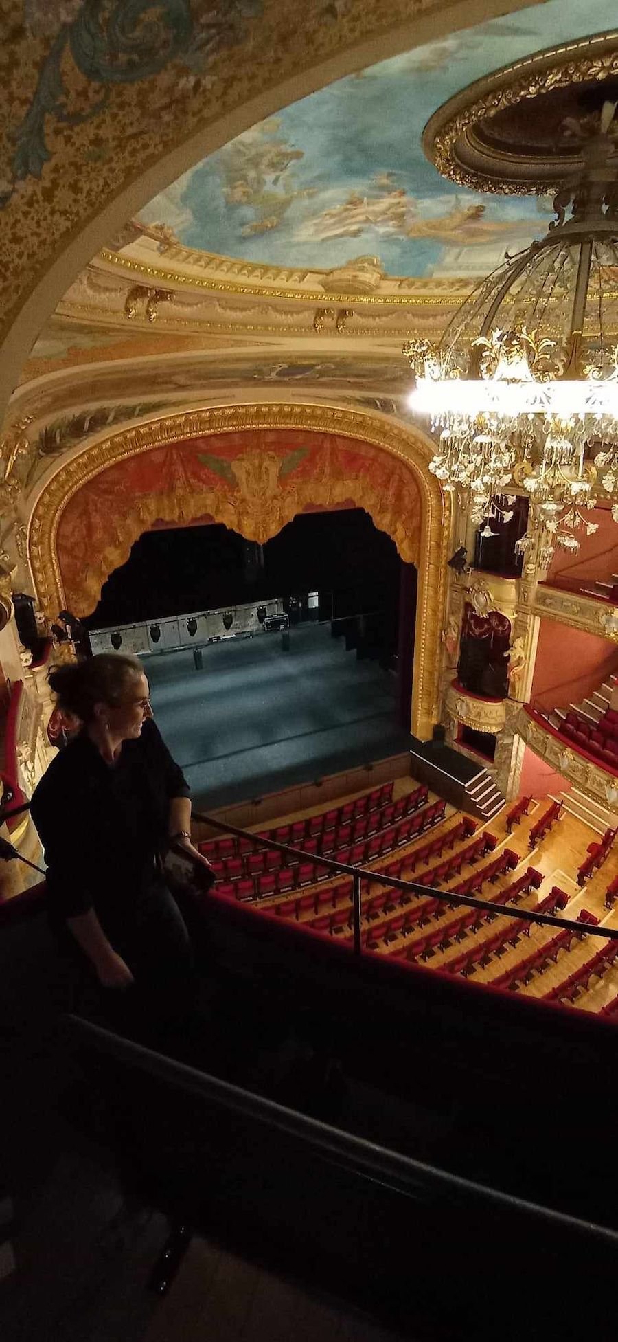 1701375741308 1701375741308