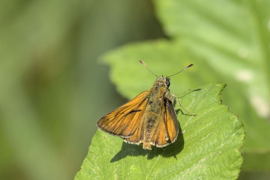 1706296404595 1706296404595